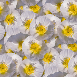 Similar image 21070918