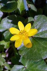 Similar image 21070919