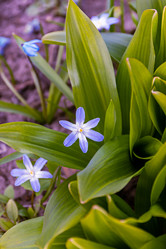 Similar image 21070920