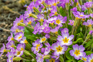 Similar image 21070921