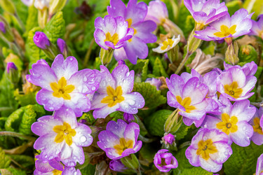 Similar image 21071153