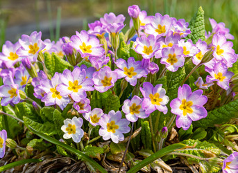 Similar image 21071155