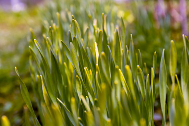 Similar image 21071156