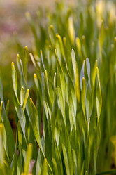 Similar image 21071157