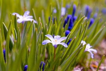 Similar image 21071158