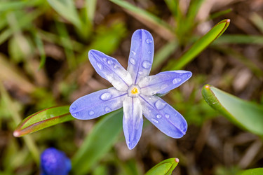 Similar image 21071159