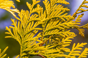 Similar image 21071160