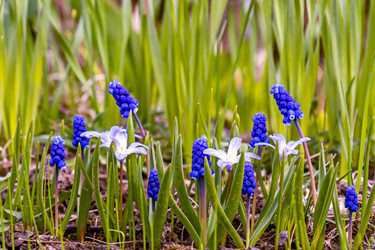 Similar image 21071161