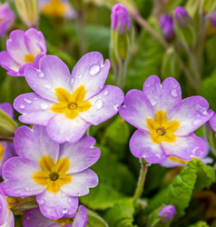 Similar image 21071162