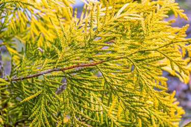 Similar image 21071163