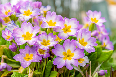 Similar image 21071164