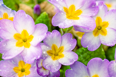 Similar image 21071166