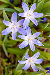 Similar image 21071167