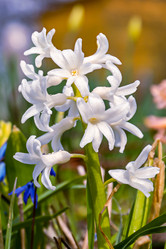 Similar image 21071173