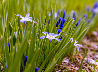 Similar image 21071175