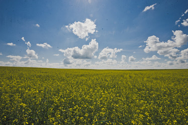 Similar image 21021338