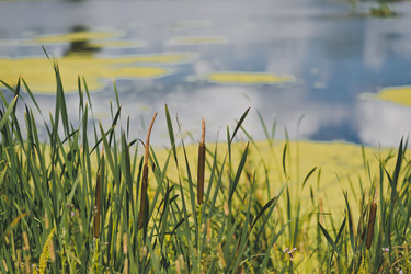 Similar image 21021675