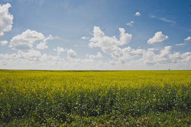 Similar image 21021678