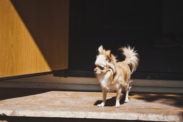 Similar image 21021682