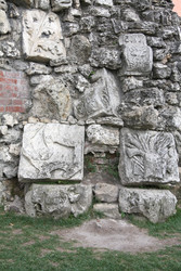 Similar image 21021074