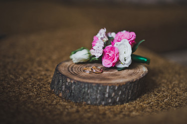 Similar image 21029605