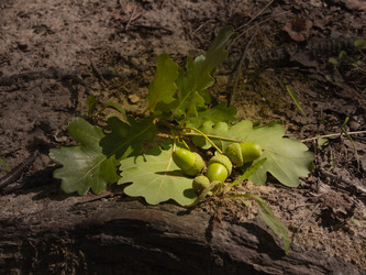 Similar image 21043960