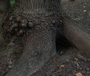 Similar image 21043961