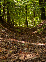 Similar image 21043962