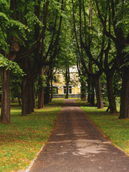 Similar image 21042823