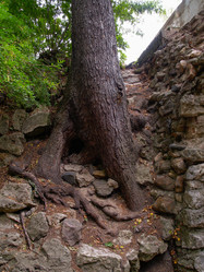 Similar image 21042174