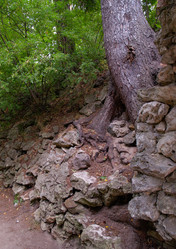 Similar image 21042175