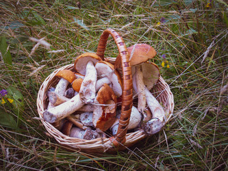 Similar image 21042088