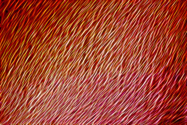 Similar image 21071708