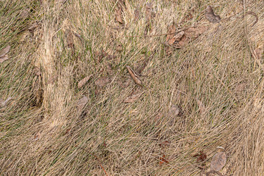 Similar image 21071724