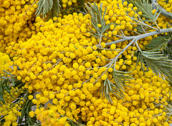 Similar image 21070925