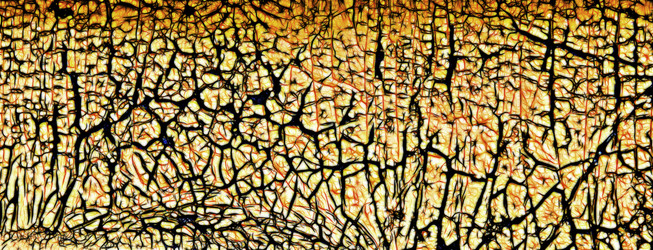 Similar image 21070934