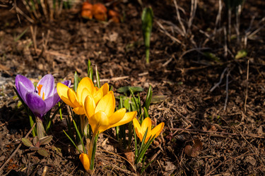 Similar image 21070941