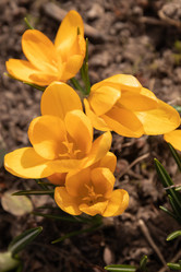 Similar image 21070942