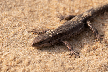 Similar image 21070943