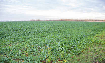 Similar image 21029835