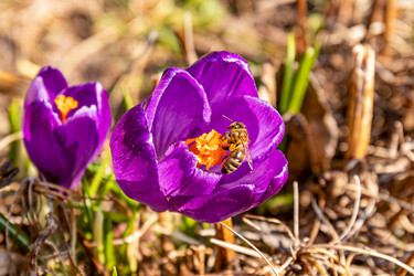 Similar image 21071728