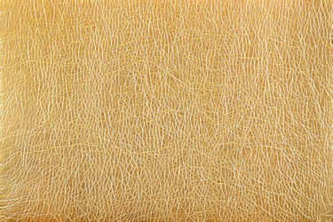 Similar image 21071733