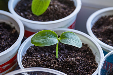 Similar image 21071757