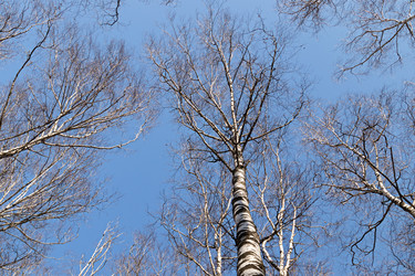 Similar image 21071758