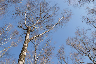 Similar image 21071760