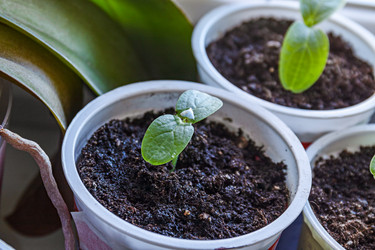 Similar image 21071762