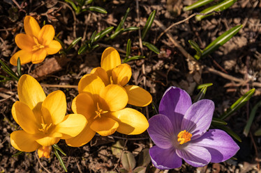 Similar image 21070949