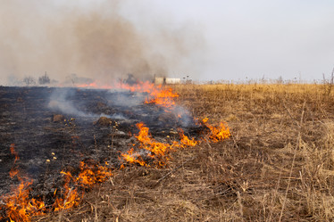 Similar image 21070950