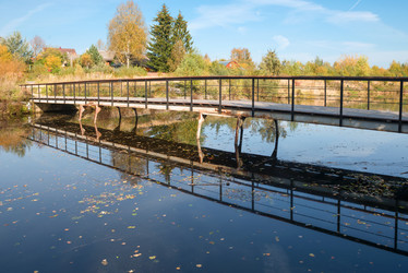 Similar image 21032596