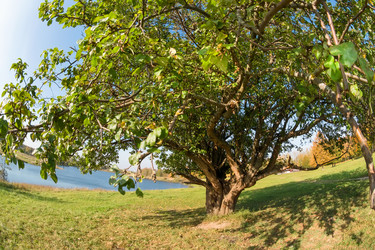 Similar image 21032597